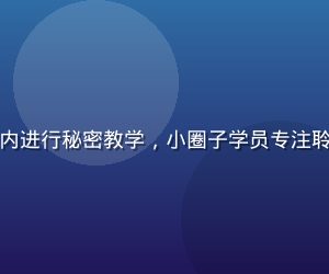 现代精英导师在私密研讨室内进行秘密教学，小圈子学员专注聆听，钴蓝光线营造专业氛围